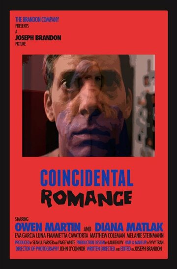 Coincidental Romance (2015)
